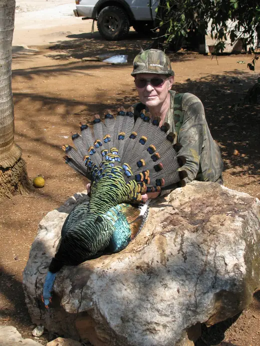 Ocellated Turkey Hunts — photograph from the Gunners Taxidermy gallery
