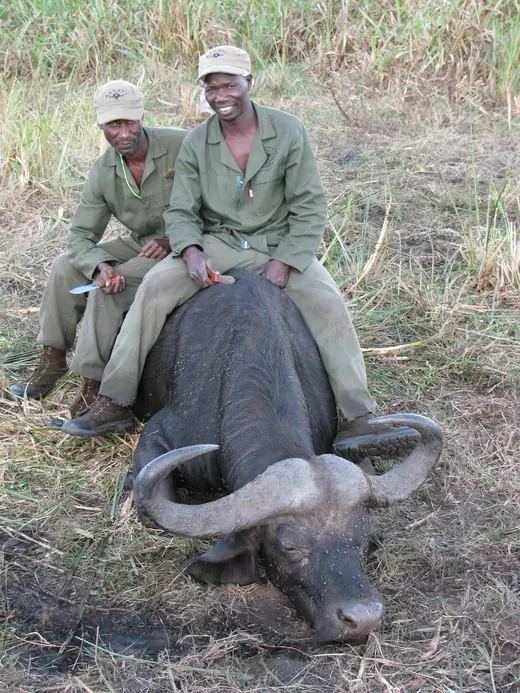 Africa Dangerous Game Hunts — photograph from the Gunners Taxidermy gallery