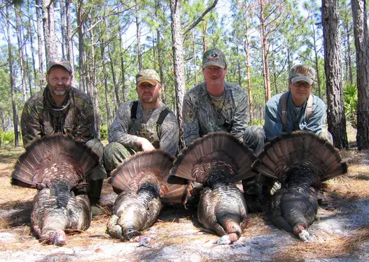 Osceola Turkey Hunts — photograph from the Gunners Taxidermy gallery