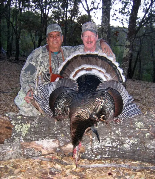 Gould's Turkey Hunts — photograph from the Gunners Taxidermy gallery